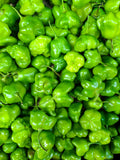 Habanero Garlic Pepper